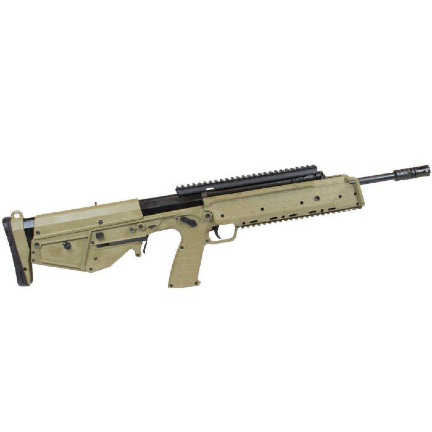 KTRDB20TAN