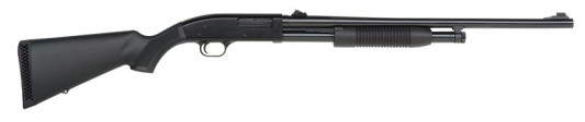 MV31017