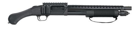 MV50648