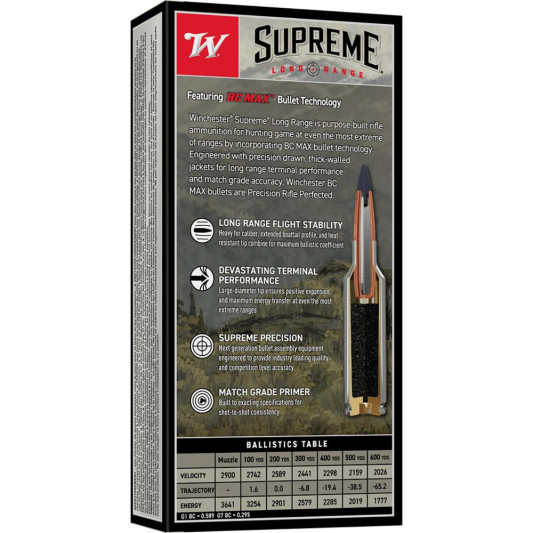 WNS300SBC1