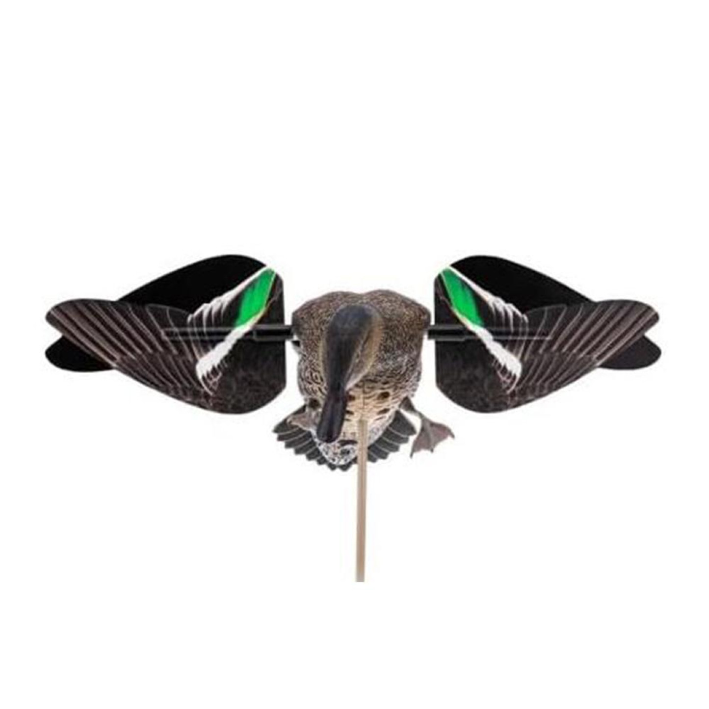 AVAVXPTRW-1