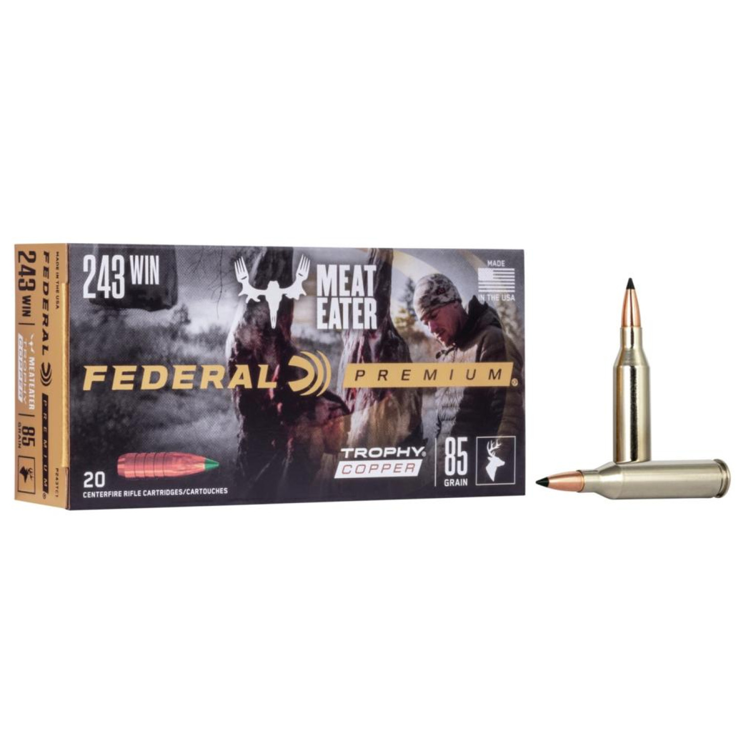 FAP243TC1_1