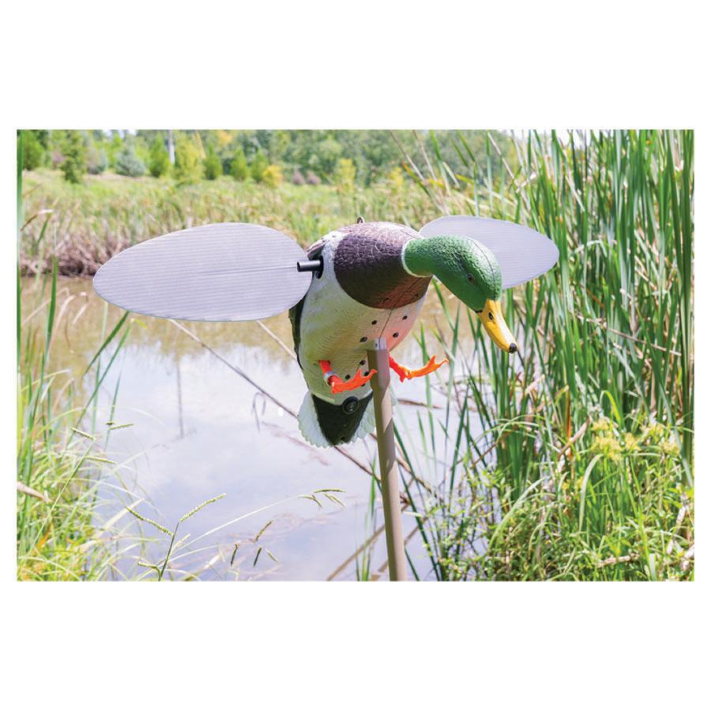 mojo_silver_mallard_25th_anniversary_juhw2025_0005_Lifestyle