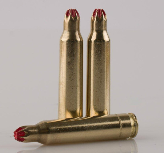 OQPPB556A1