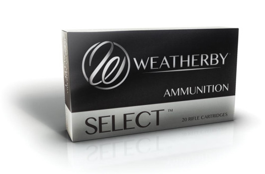 ammoselect_2